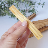 Palo Santo
