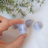Blue Lace Agate Tumbled