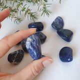 Sodalite Tumbles