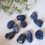 Sodalite Tumbles