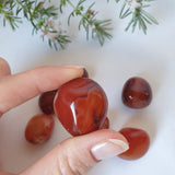 Carnelian Tumbles