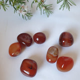 Carnelian Tumbles