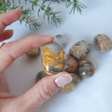 Crazy Lace Agate Tumbled