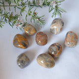 Crazy Lace Agate Tumbled