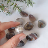 Botswana Agate - Grey Tumbled