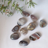 Botswana Agate - Grey Tumbled