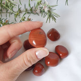 Red Jasper Tumbles