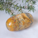 Bumble Bee Jasper Lingham