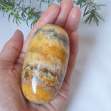 Bumble Bee Jasper Lingham