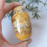 Bumble Bee Jasper Lingham