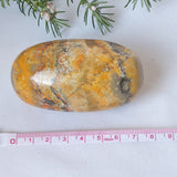 Bumble Bee Jasper Lingham