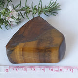 Self Standing Polished Tiger Eye