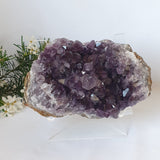 Amethyst Uruguay Druse With Stand - AA Grade