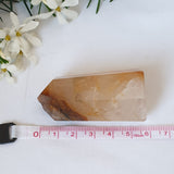 Golden Healer Point #2
