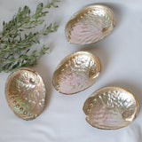 Natural Pearl Abalone Shell