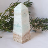 Caribbean Calcite Tower #1