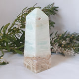 Caribbean Calcite Tower #1