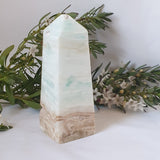 Caribbean Calcite Tower #1