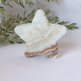 Caribbean Calcite Star