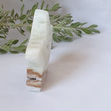 Caribbean Calcite Star
