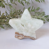 Caribbean Calcite Star