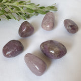 Lepidolite Tumbled