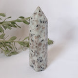 Kiwi Jasper Point