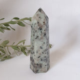 Kiwi Jasper Point