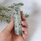 Kiwi Jasper Point