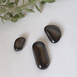 Shungite Tumbled