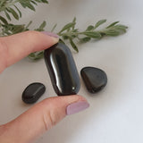 Shungite Tumbled
