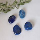 Lapis Lazuli Tumbled