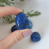 Lapis Lazuli Tumbled