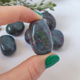 Ruby in Kyanite Tumbled