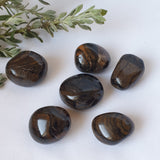 Stromatolite Tumbled