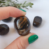 Stromatolite Tumbled