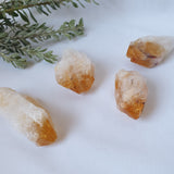 Citrine -  Raw Points Small