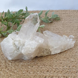 Clear Quartz Cluster