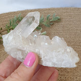 Clear Quartz Cluster