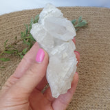 Clear Quartz Cluster