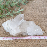 Clear Quartz Cluster