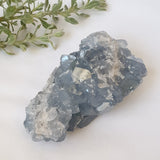 Celestite Cluster