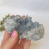 Celestite Cluster