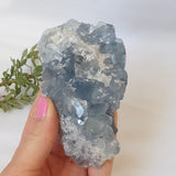 Celestite Cluster