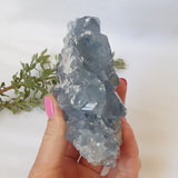 Celestite Cluster