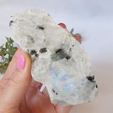 Rainbow Moonstone - One Face Polished