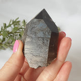 Smoky Quartz Cluster