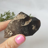 Smoky Quartz Cluster