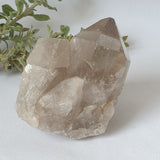 Smoky Quartz Cluster