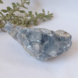 Celestite Cluster